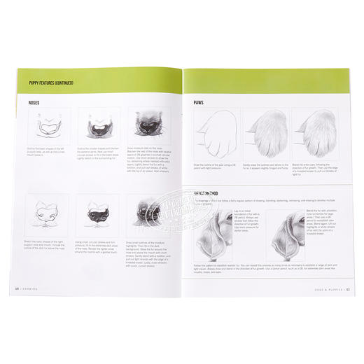 【中商原版】如何绘画系列：狗 英文原版 Drawing: Dogs & Puppies: Learn to draw step by step (How to Draw & Paint) 素描技 商品图5