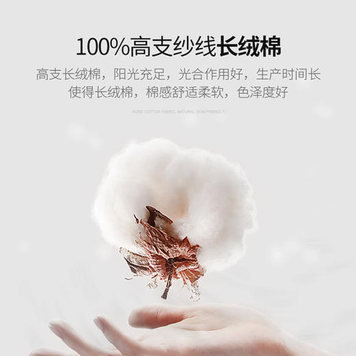 源自新疆阿克苏长绒棉，好面料，高质感！多色选择男女同款 商品图0