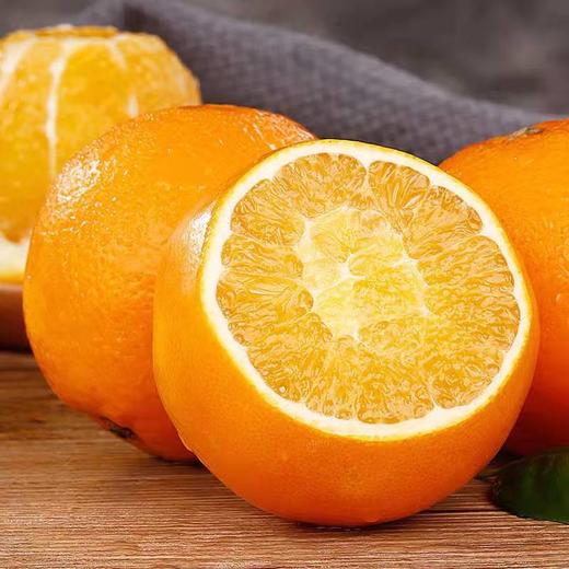 伦晚脐橙 商品图0