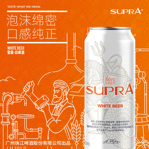 11度雪堡白啤500ml*12罐 商品图0