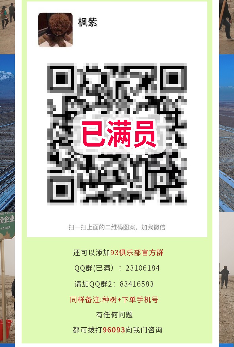 阿克苏苹果安安生生改改_09.jpg 阿克苏苹果安安生生改改_09.jpg