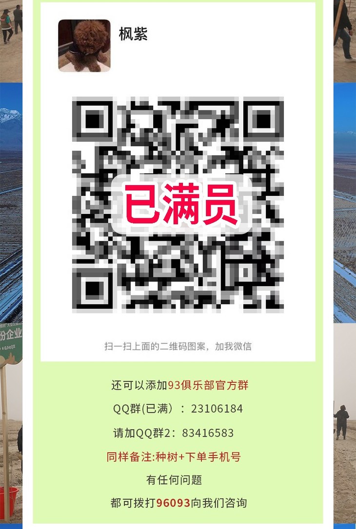 阿克苏苹果安安生生改改_09.jpg 阿克苏苹果安安生生改改_09.jpg