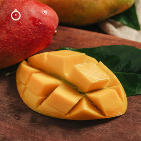 香水炸弹树上熟贵妃芒回归~