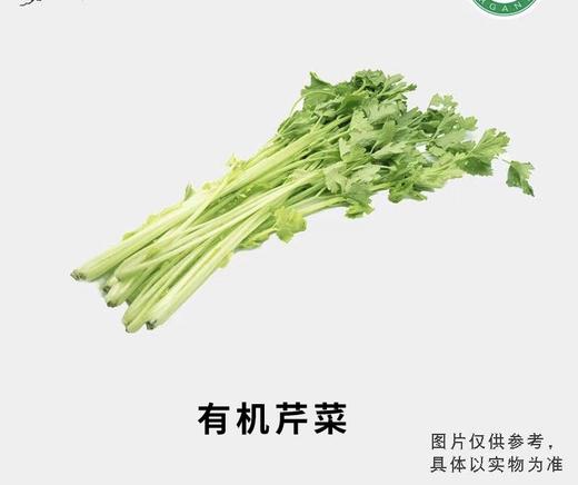 有机芹菜 商品图0