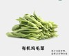 有机鸡毛菜（鲜嫩） 商品缩略图0