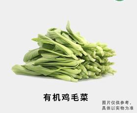 有机鸡毛菜（鲜嫩）