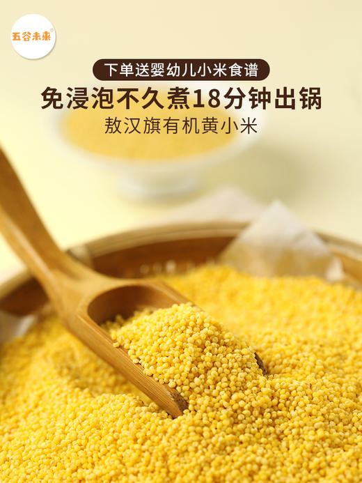 2025新收敖汉旗有机黄小米【6月+宝宝入】 商品图0