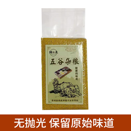 山西养人小米  1kg/袋 商品图3