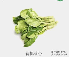 有机菜心