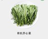 有机养心菜（营养价值丰富） 商品缩略图0