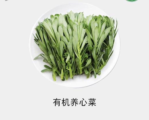 有机养心菜（营养价值丰富） 商品图0