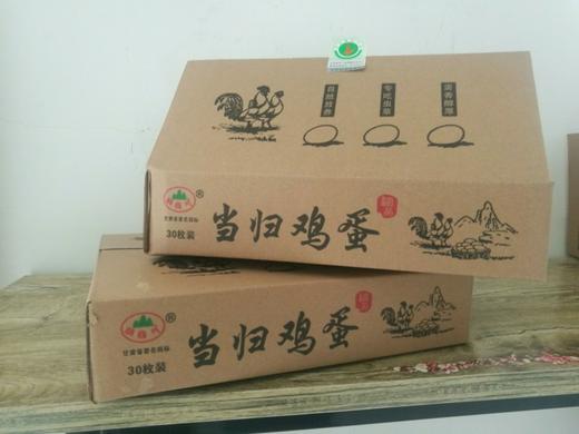 胭脂川当归鸡  让你的春天大“鸡”大利(年货特惠，统统8.8折) 商品图3