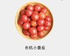 有机小番茄（红） 商品缩略图0