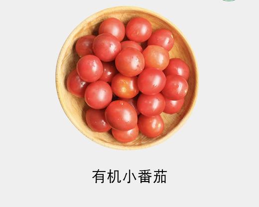 有机小番茄（红） 商品图0
