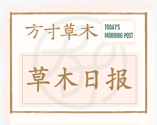草木日报 商品图0