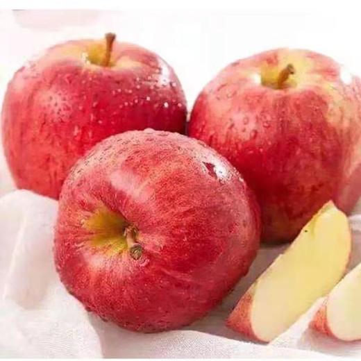 新西兰加力果 咖喱果 苹果