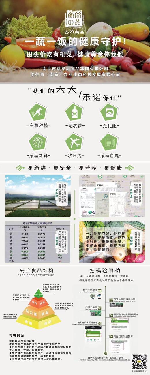 有机杭白菜 商品图3