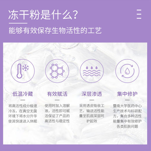 贝露丝 焕龄精萃抗皱冻干粉5盒打包价 商品图2