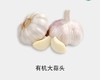 有机 大蒜头 商品缩略图0