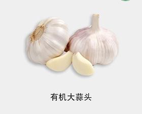 有机 大蒜头