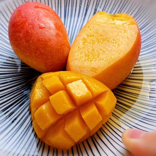 〔产地直发包邮04〕海南贵妃芒果 商品图0