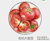 有机大番茄（沙瓤） 商品缩略图0
