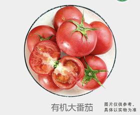 有机大番茄（沙瓤）