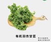 有机羽衣甘蓝 商品缩略图0