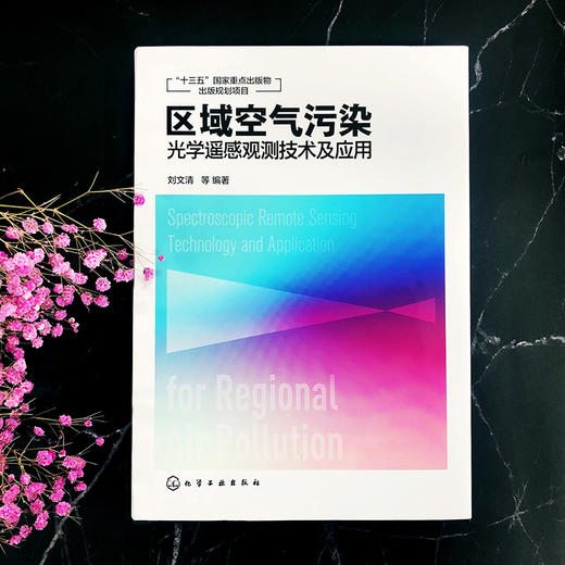 区域空气污染光学遥感观测技术及应用 商品图1