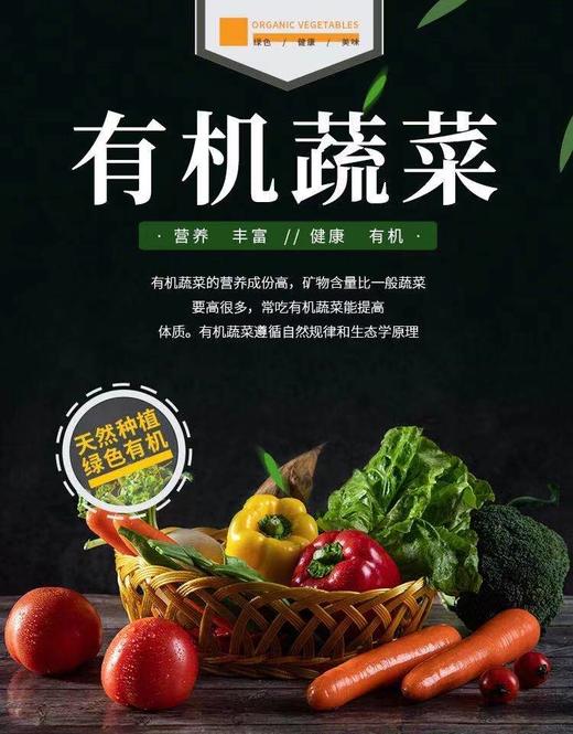 有机杭白菜 商品图2