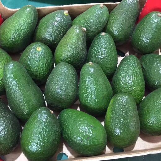 [最农公社]顺丰主推|秘鲁新鲜牛油果4/8个装鳄梨森林奶油 商品图13