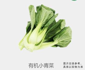 有机小青菜