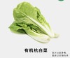有机杭白菜 商品缩略图0