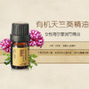 玫瑰天竺葵精油5ml 商品缩略图1