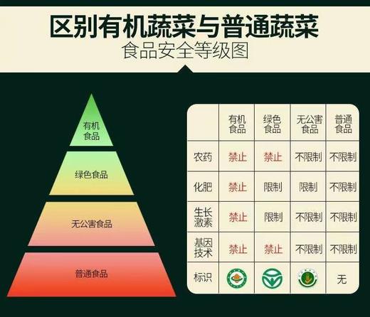 有机杭白菜 商品图1