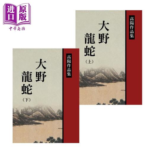 【中商原版】大野龙蛇 上下套装 港台原版 高阳 联经出版 历史小说 曹雪芹故事系列 商品图0