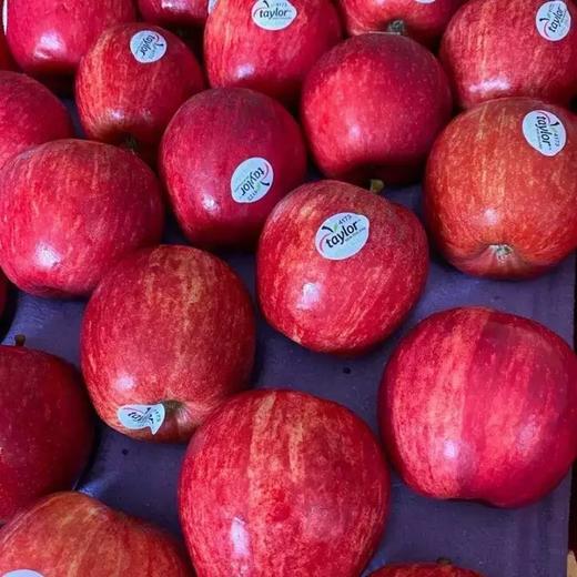 新西兰加力果 咖喱果 苹果