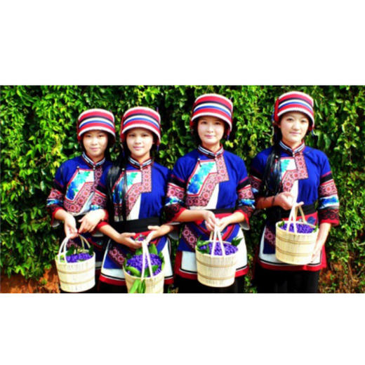 云南大理精选蓝莓鲜果1kg(125g*8盒)12-14mm中果 商品图3