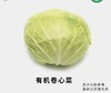 有机卷心菜 商品缩略图0