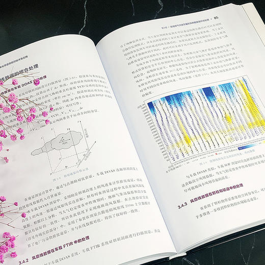 区域空气污染光学遥感观测技术及应用 商品图3