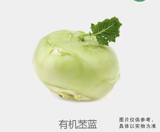 有机苤蓝 商品图0