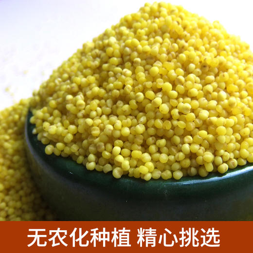 山西养人小米  1kg/袋 商品图0