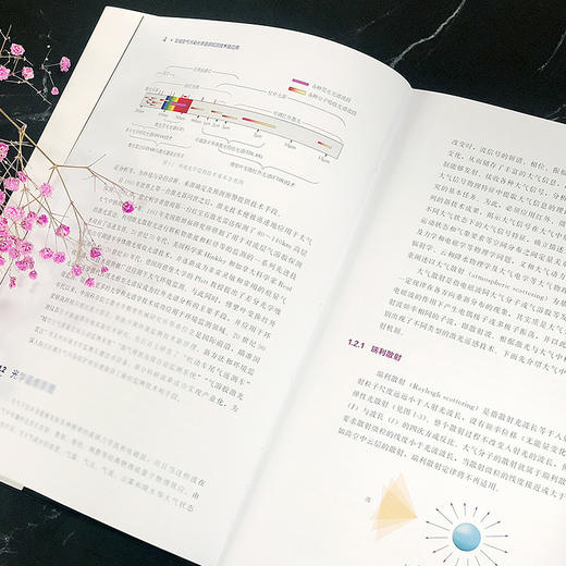 区域空气污染光学遥感观测技术及应用 商品图6