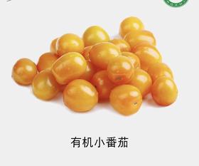 有机小番茄（黄）