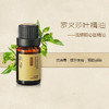 罗文莎叶10ml 商品缩略图1