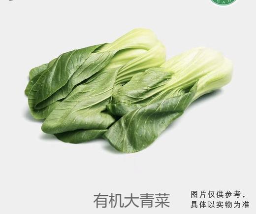 有机大青菜 商品图0