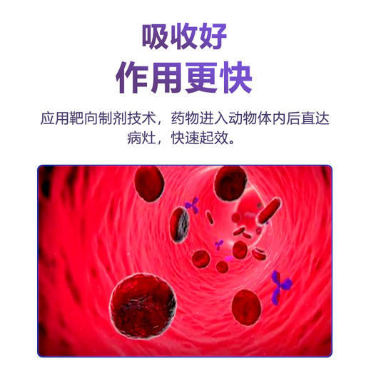 【新乐】巨龙动保新乐32.5%硫酸新霉素可溶性粉100g 商品图3