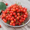 【饱满多汁，颗颗精选】发耳玛瑙红樱桃250g±/20g盒装 商品缩略图1