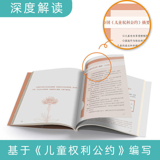 别跟孩子对着干：儿童权利视域中的家庭教育 商品图2