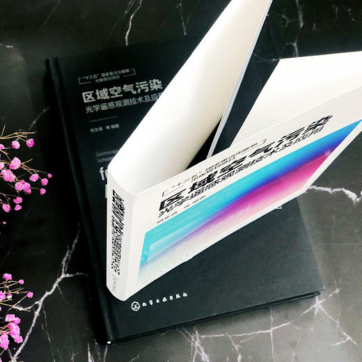 区域空气污染光学遥感观测技术及应用 商品图7